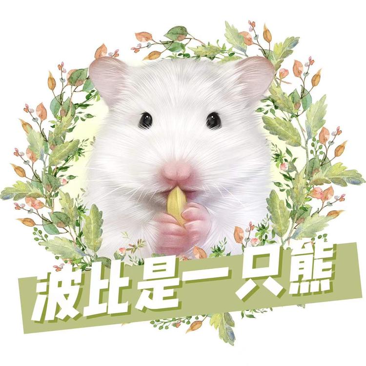 波比是一只熊
