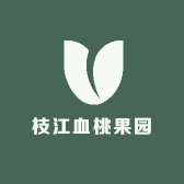 枝江血桃果园