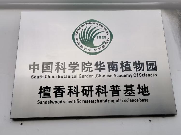 广州中科华南珍稀苗木
