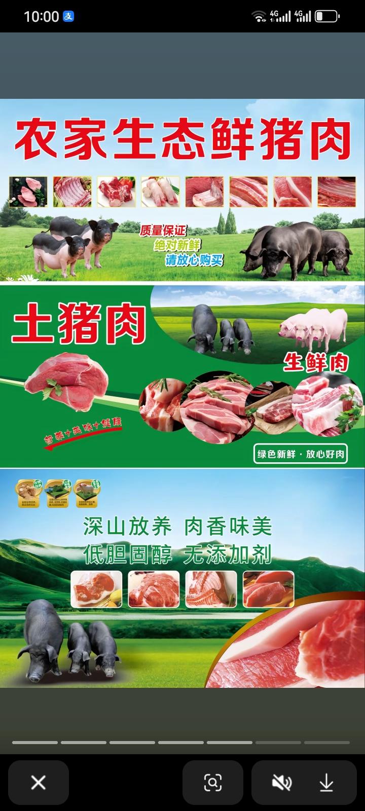 农家生态鲜猪肉