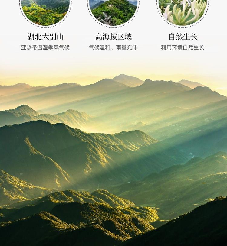 大别山地标产品优选店