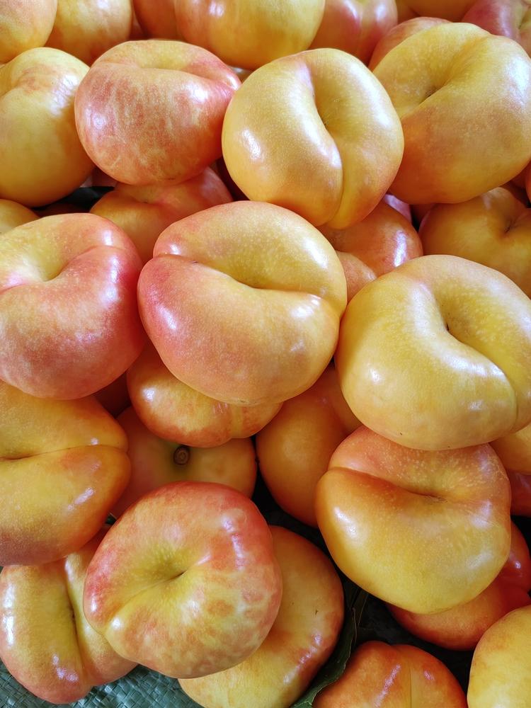 羊栏山果园老二家