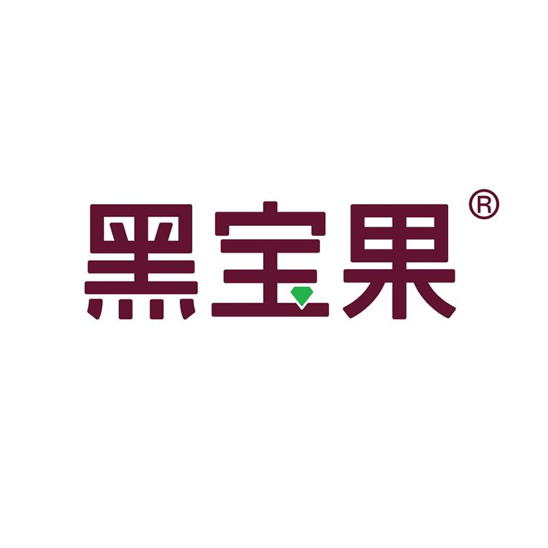 黑宝果企业店