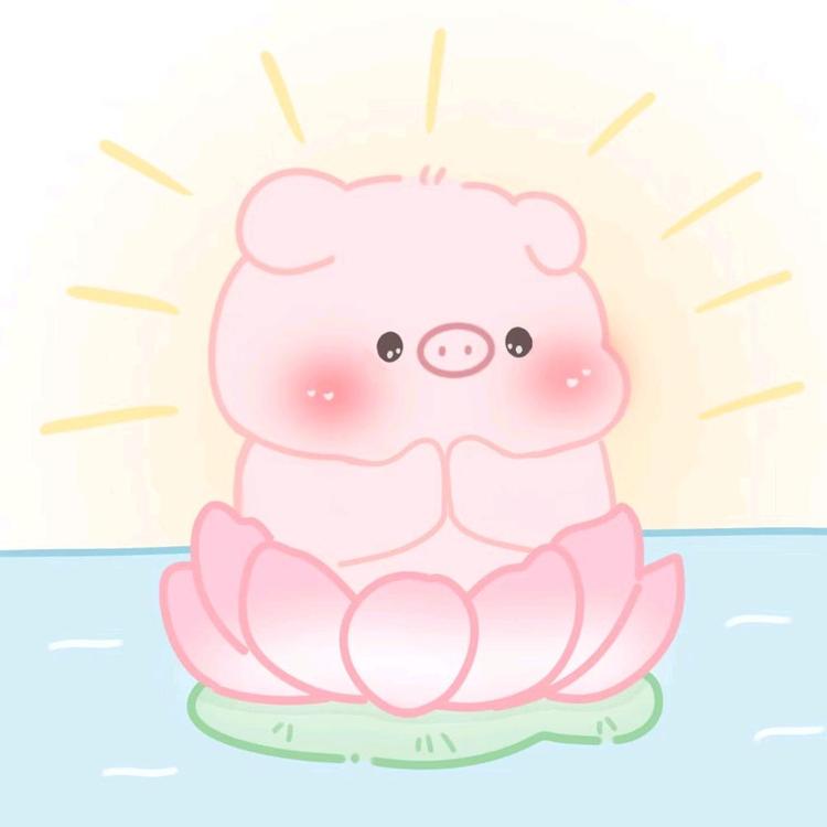 辽源猪猪优品百货店