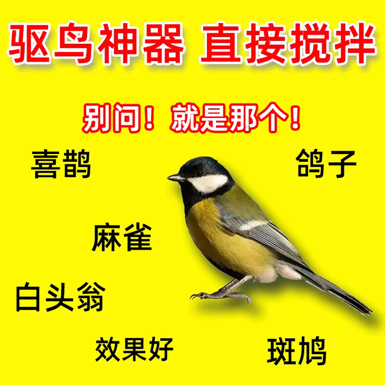 阿超户外1