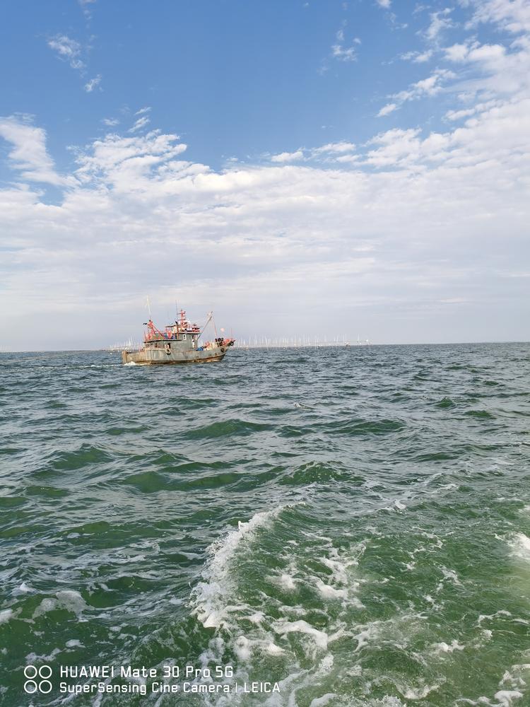 吕多鱼优选海鲜企业店