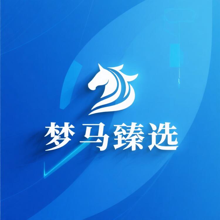 梦马国际臻选
