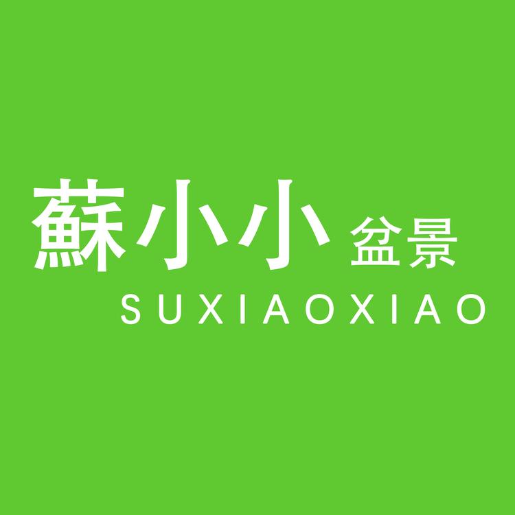 苏小小盆景