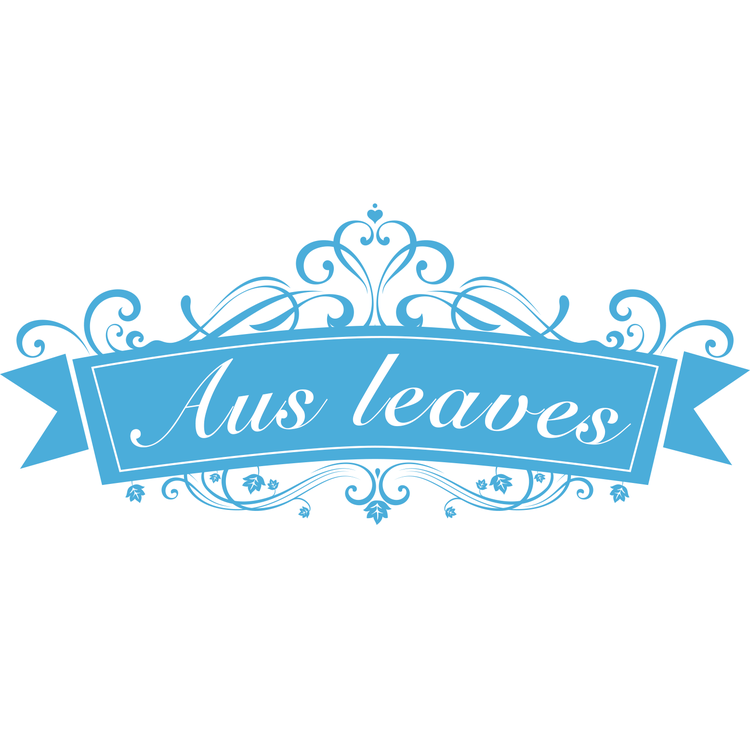 Ausleaves澳叶童装专卖店
