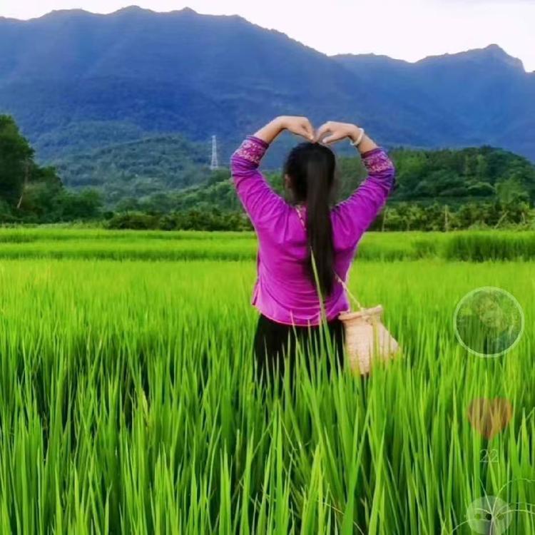 广西山姑娘土特产