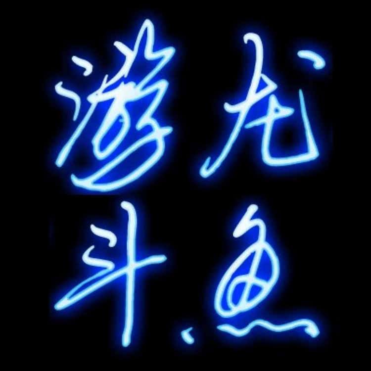游龙国斗