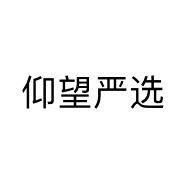 仰望严选个体店