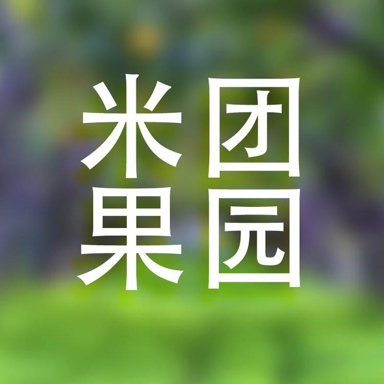 米团家的水果店个体店