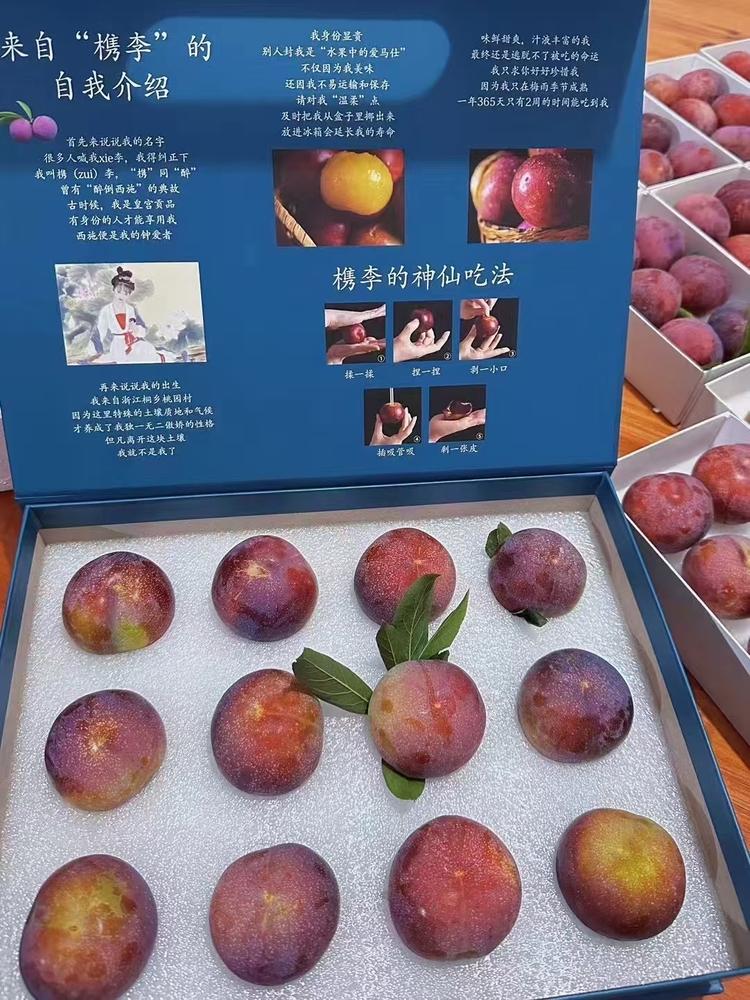 小吕槜李园