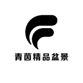 青茵精品盆景
