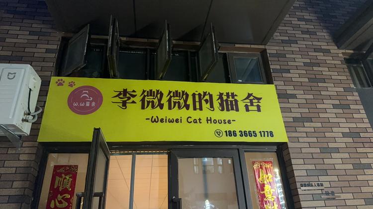 杏花岭区李weiwei的猫舍