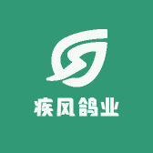 疾风鸽业