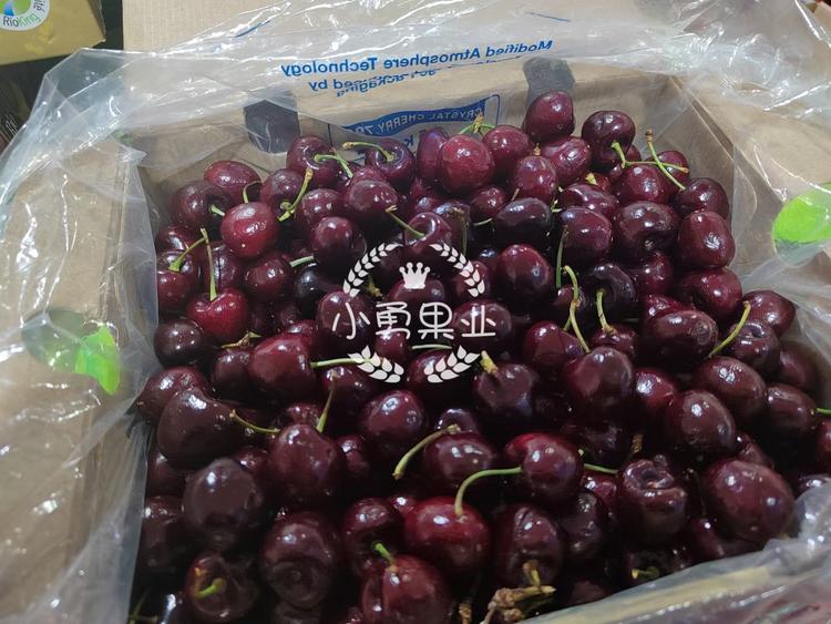 哈尔滨市香坊区龙园小勇水果批发行的小店个体店