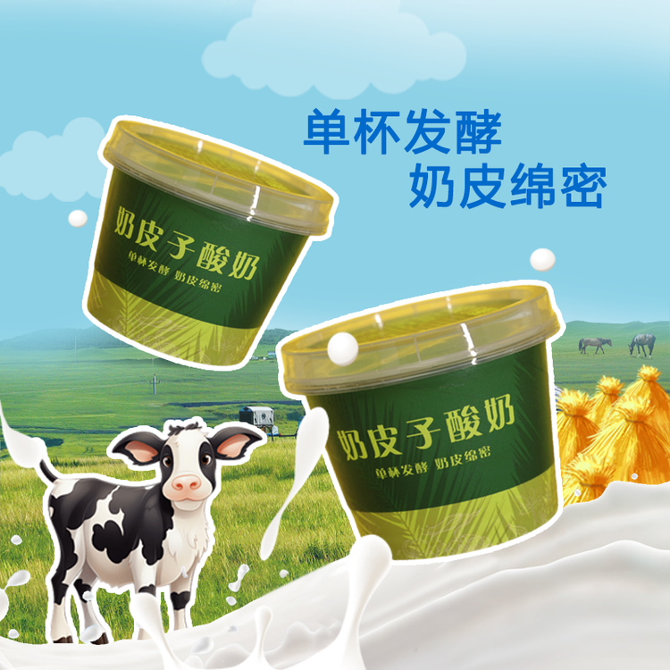 瑞美奶皮子酸奶