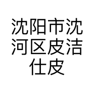 沈阳市沈河区皮洁仕皮具护理店的小店