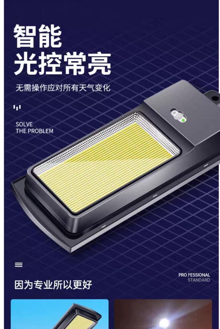 王树铎光伏路灯供电系统