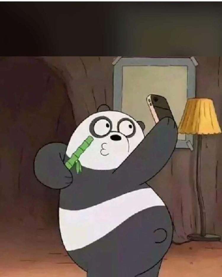 大琳宝