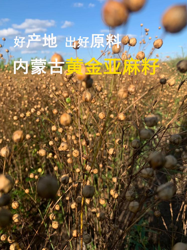 张淑芳农副产品精选小铺