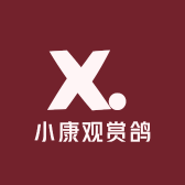 小康观赏鸽