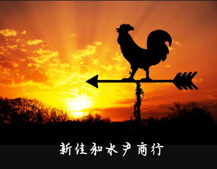 新佳和水产商行