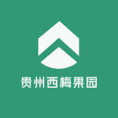 贵州西梅果园