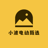 小波电动甄选