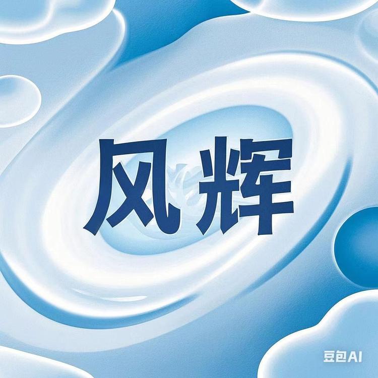 新六飞风辉电动车专卖店
