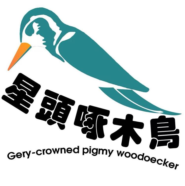 星头啄木鸟辰沣店
