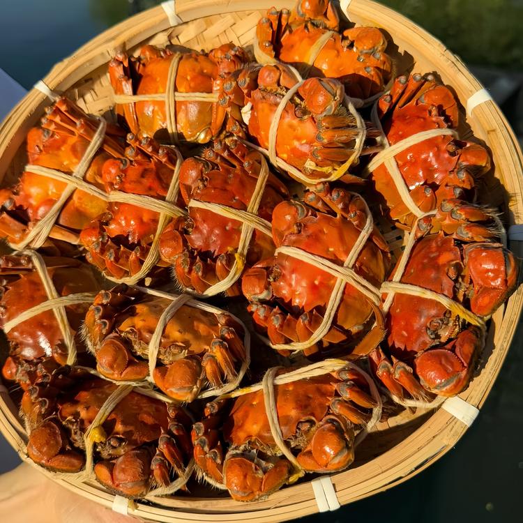 蟹一精品大闸蟹店铺