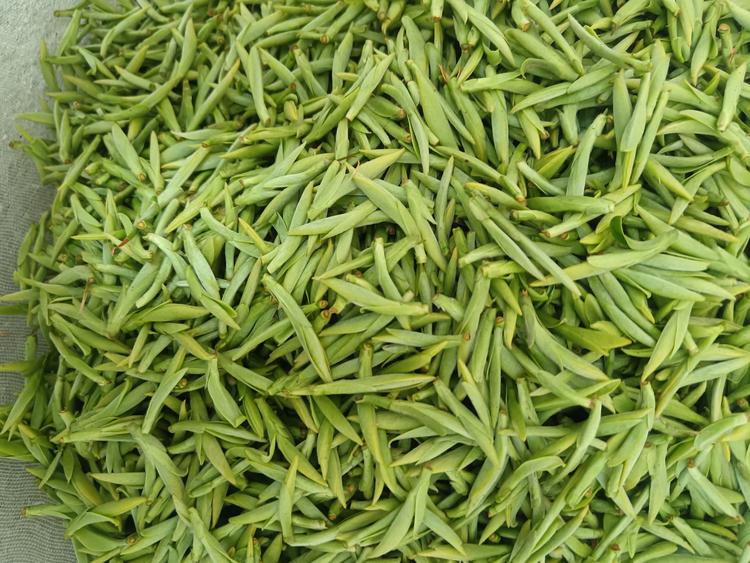 皖浙茶叶商行