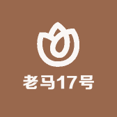 老马17号