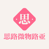 思路微物路亚