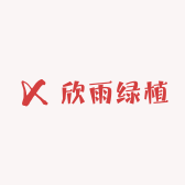 欣雨绿植