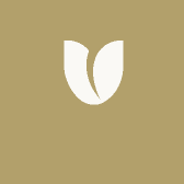 Oasis Nexus 绿洲枢纽