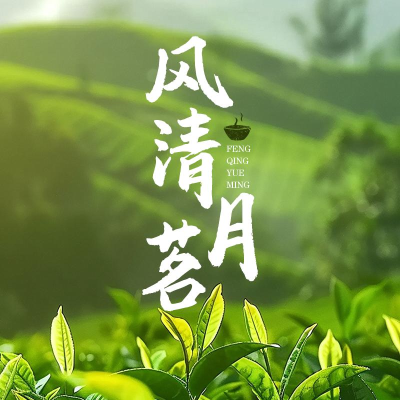 风清月茗茶叶店