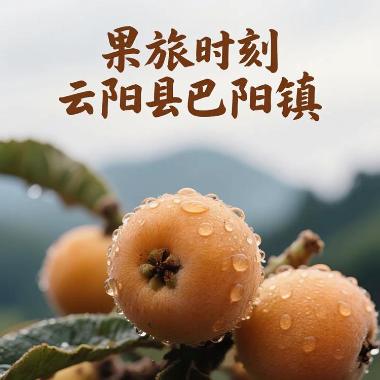 果旅时刻农副产品严选店