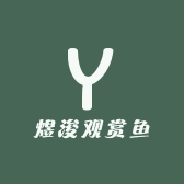 煜浚观赏鱼