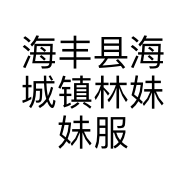 海丰县海城镇林妹妹服装工作室的小店