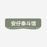 安仔泰斗馆