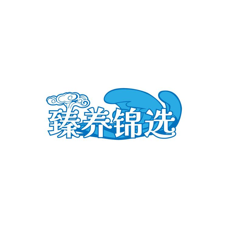 臻养锦选食品