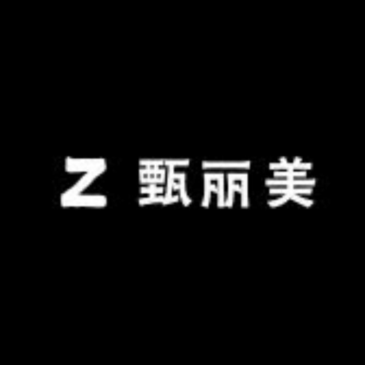 甄丽美高端假发定制