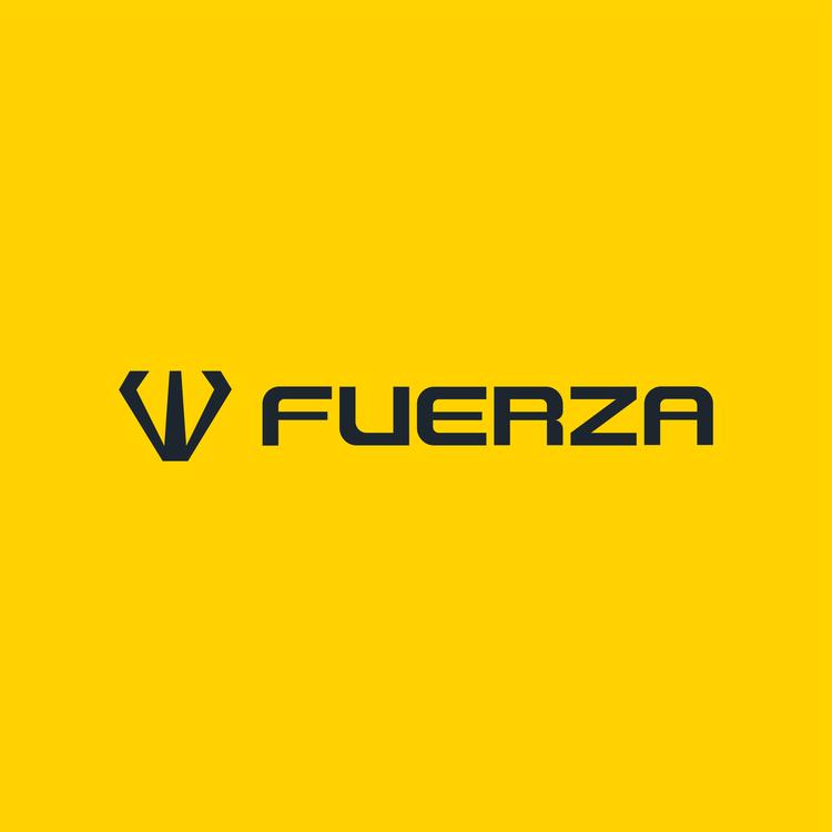 FUERZA飞力嘉
