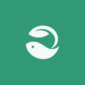 潮流小涵