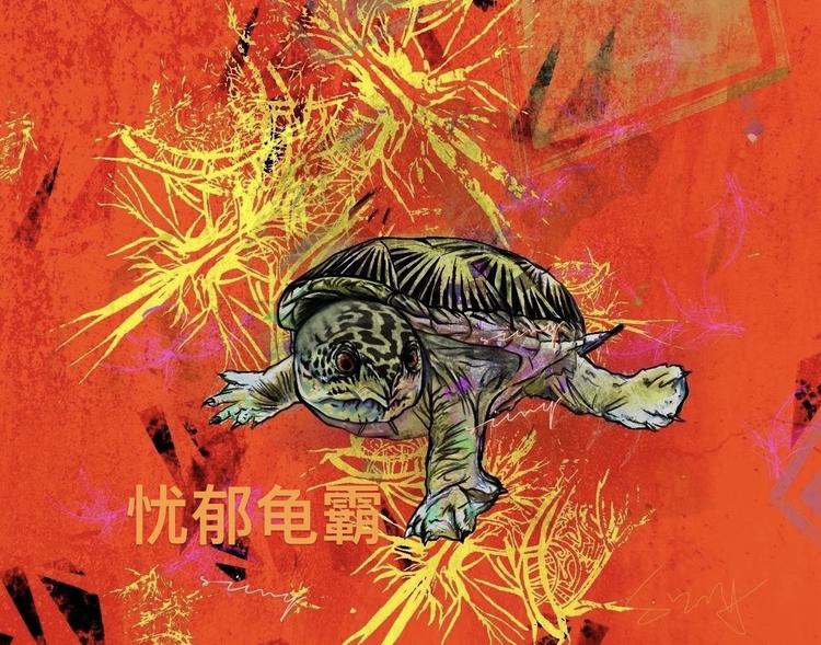 忧郁龟霸龟宠
