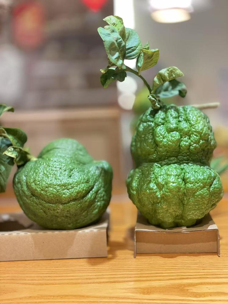 雅致香橼花卉店